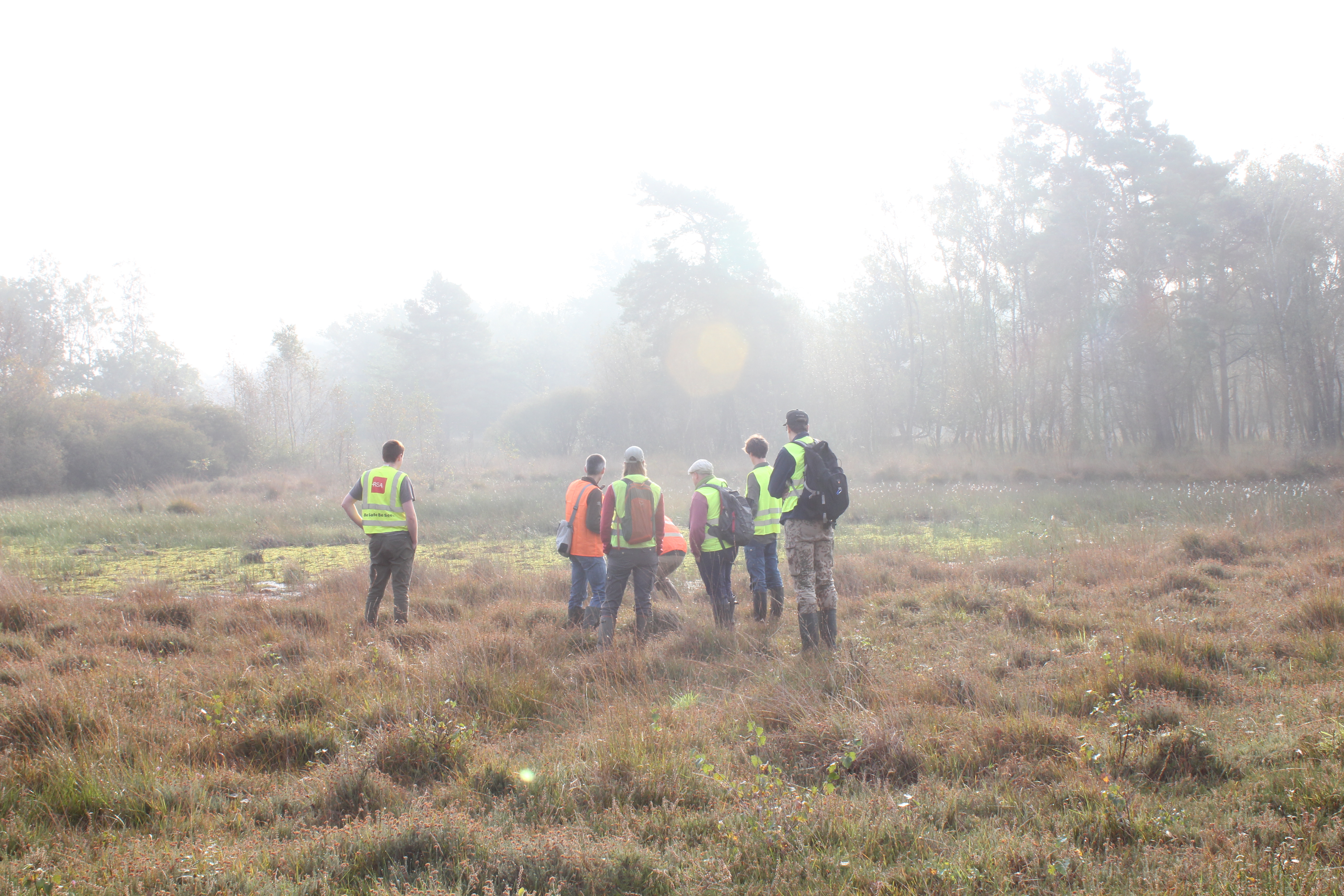 Image of people analysing a bog